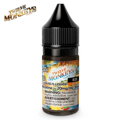 Bliss Iced Ice Age Salt 30mL By Twelve Monkeys Jean Cloud Vape