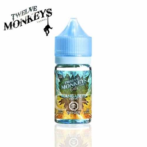 mangabeys-ice-age-salts-iced-twelve-monkeys-jean-cloud-vape