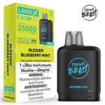 blessed-blueberry-mint-25k-pod-boost-g2-flavour-beast-jcv