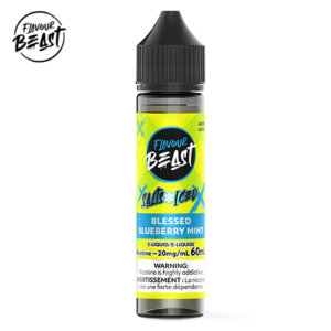 blessed-blueberry-mint-iced-salt-60-ml-by-flavour-beast-jcv