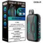 double-mint-g42k-rocky-vapor-oxbar-jcv
