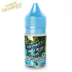 ice-age-circle-of-life-salt-30ml-by-twelve-monkeys-jcv