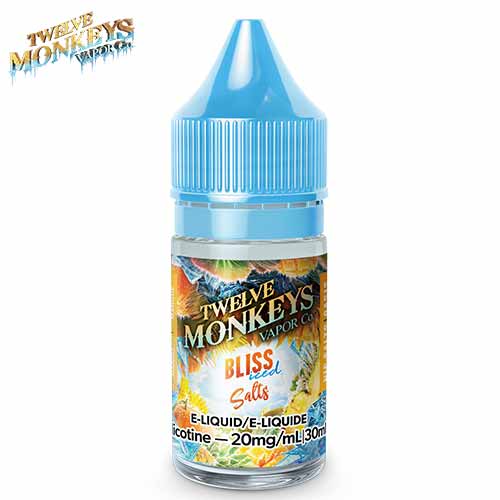 bliss-iced-salt-30-ml-by-twelve-monkeys-jcv