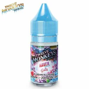 haven-iced-salt-30-ml-by-twelve-monkeys-jcv