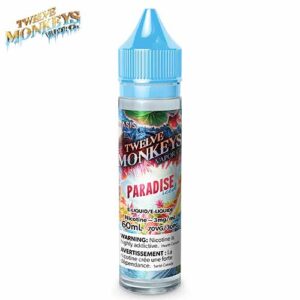 paradise-iced-60-ml-by-twelve-monkeys-jcv