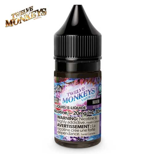 haven-ice-age-twelve-monkeys-jean-cloud-vape