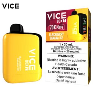 Blackberry Banana Ice Box 2 Disposable par Vice